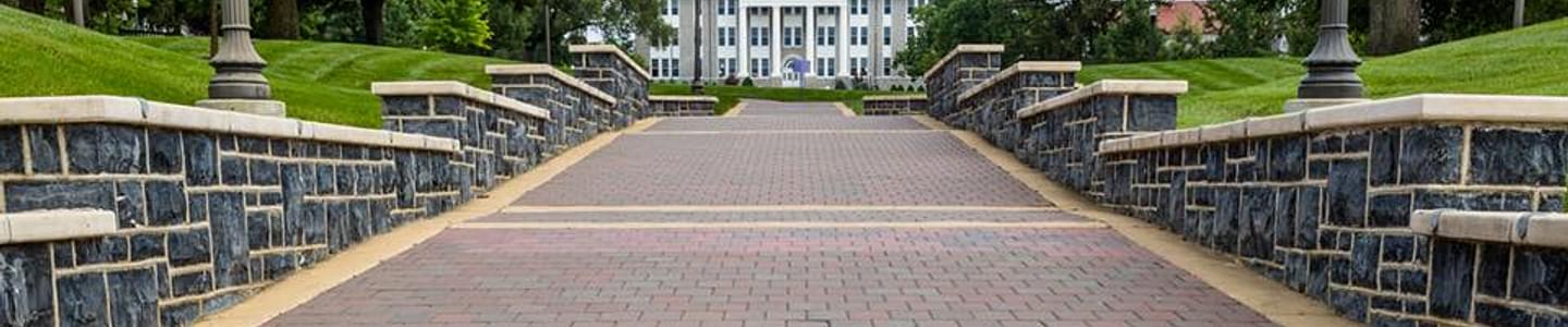 James Madison University banner